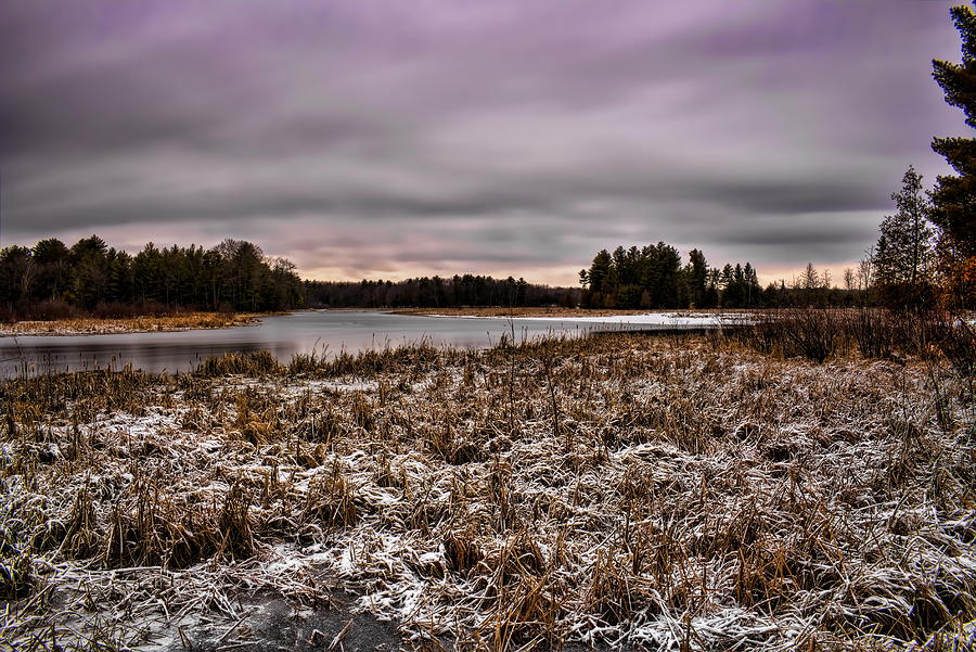Bentley Pond Marsh Photograph by Dale Kauzlaric