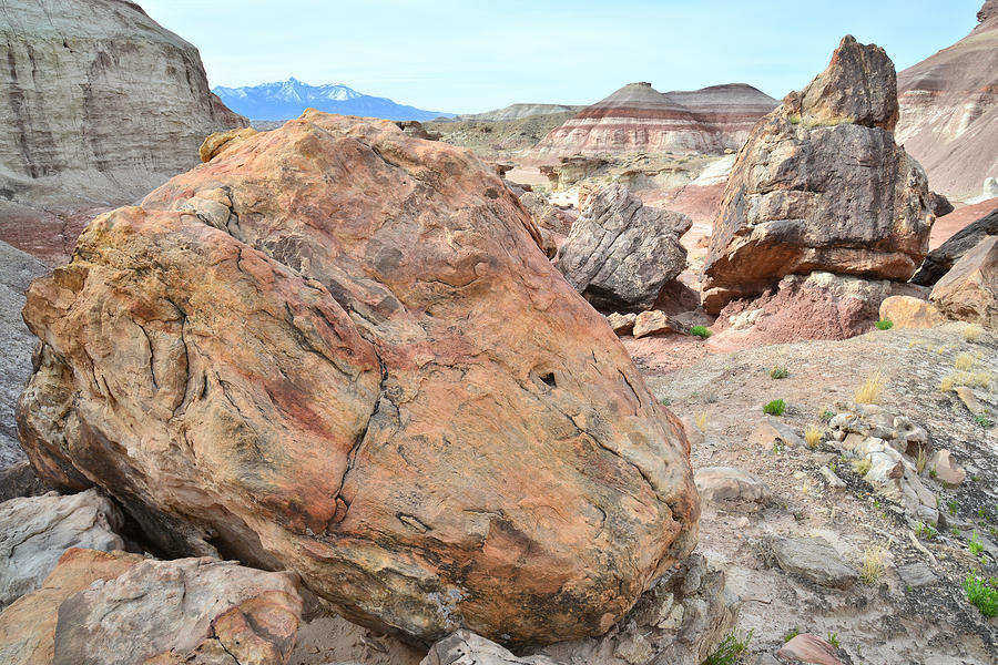 Bentonite and Boulders Photograph by Ray Mathis