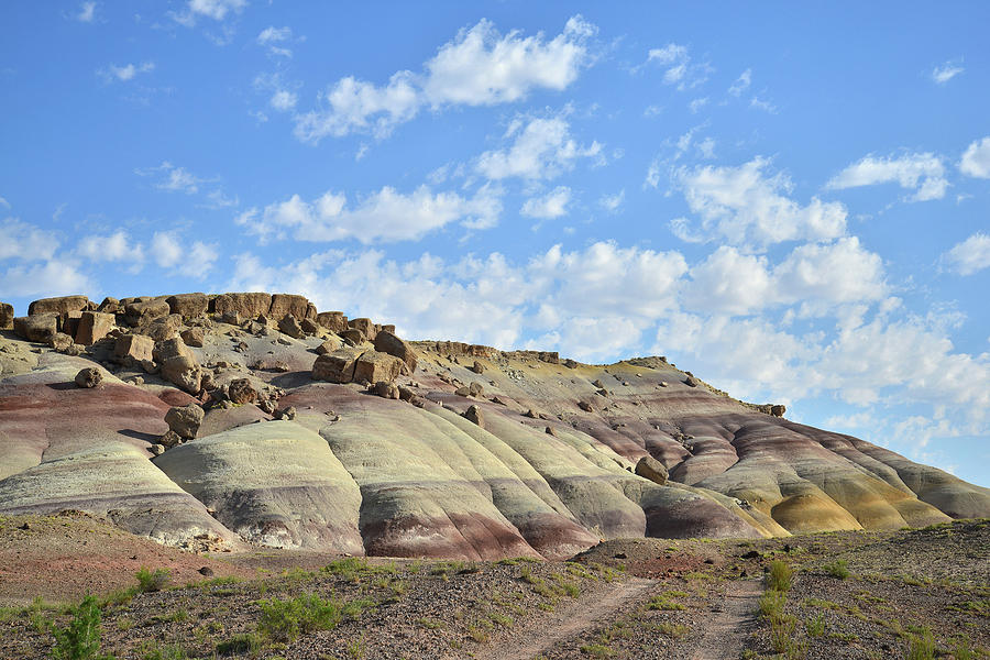 Bentonite Dunes along Cathedral Valley Road Photograph by Ray Mathis