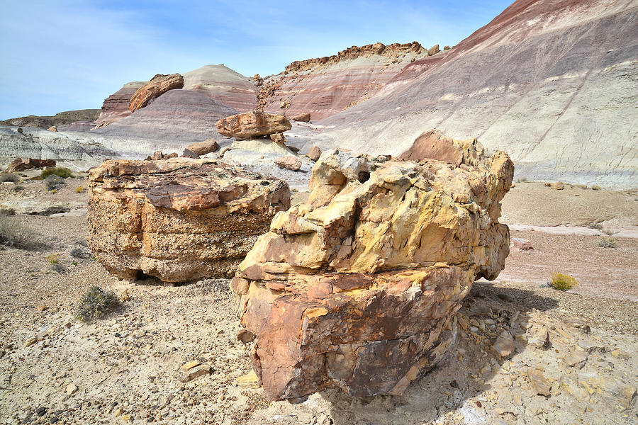 Bentonite Dunes and Boulders Photograph by Ray Mathis