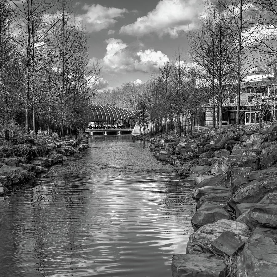 Tree Photograph - Bentonville Arkansas Crystal Bridges in Black and White by Gregory Ballos