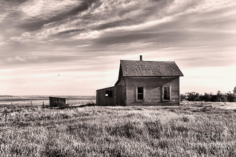 Bereft farmhouse black and white Photograph by Jeff Swan