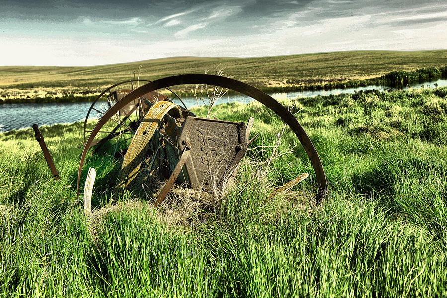 Bereft on the grasslands t Photograph by Jeff Swan