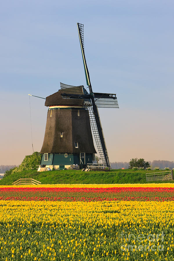 Berkmeer windmill Photograph by Henk Meijer Photography