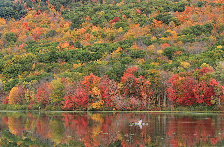 Berkshires Fall Foliage October Mountain State Forest Photograph by John Burk