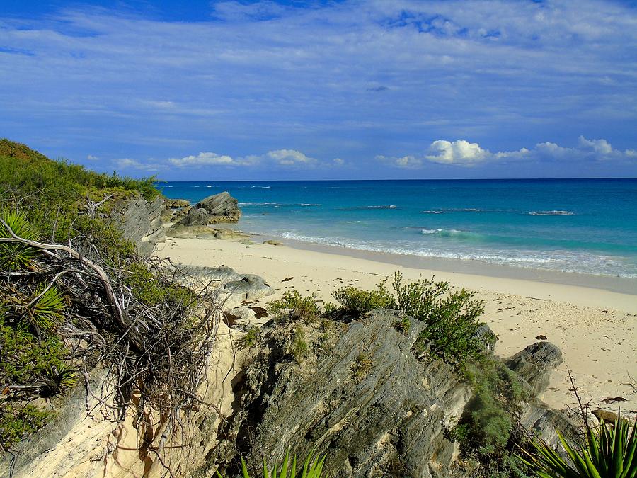 Bermuda beach day Photograph by Don Chase - Fine Art America