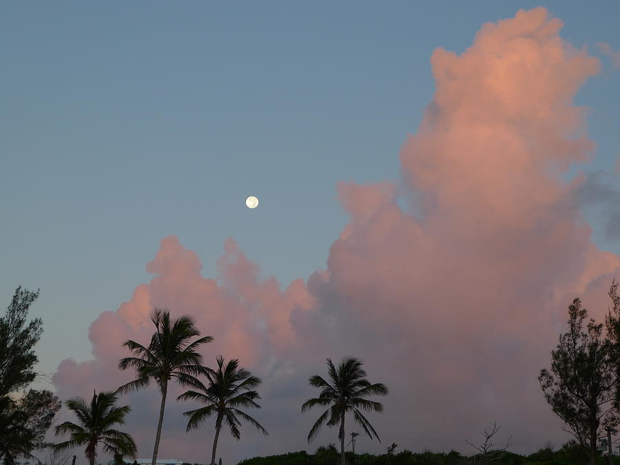 Bermuda Morning Moon Photograph by Richard Reeve