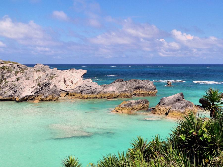 Bermuda seascape Photograph by Janice Drew