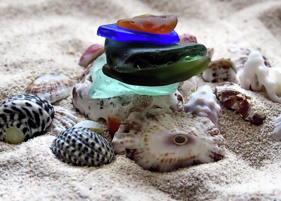 Bermuda Seashells and Sea Glass Photograph by Janice Drew