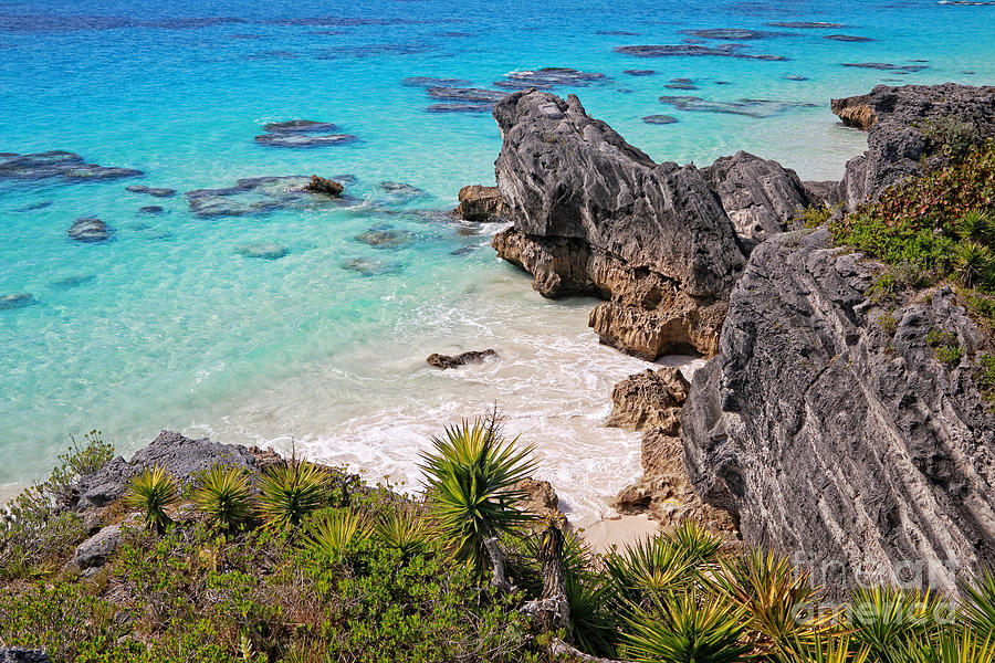 Bermuda Coral Reef Sea and Outcrops Photograph by Charline Xia