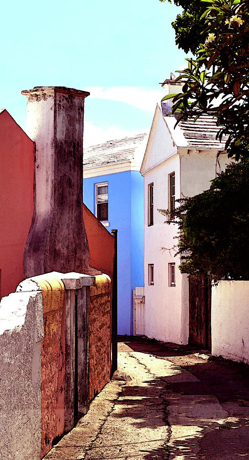 Bermuda Street Scene-Study#6 Photograph by Richard Ortolano