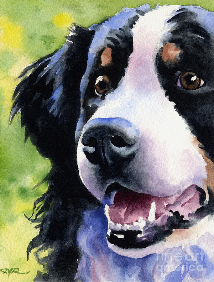 Dog Painting - Bernese Mountain Dog by David Rogers