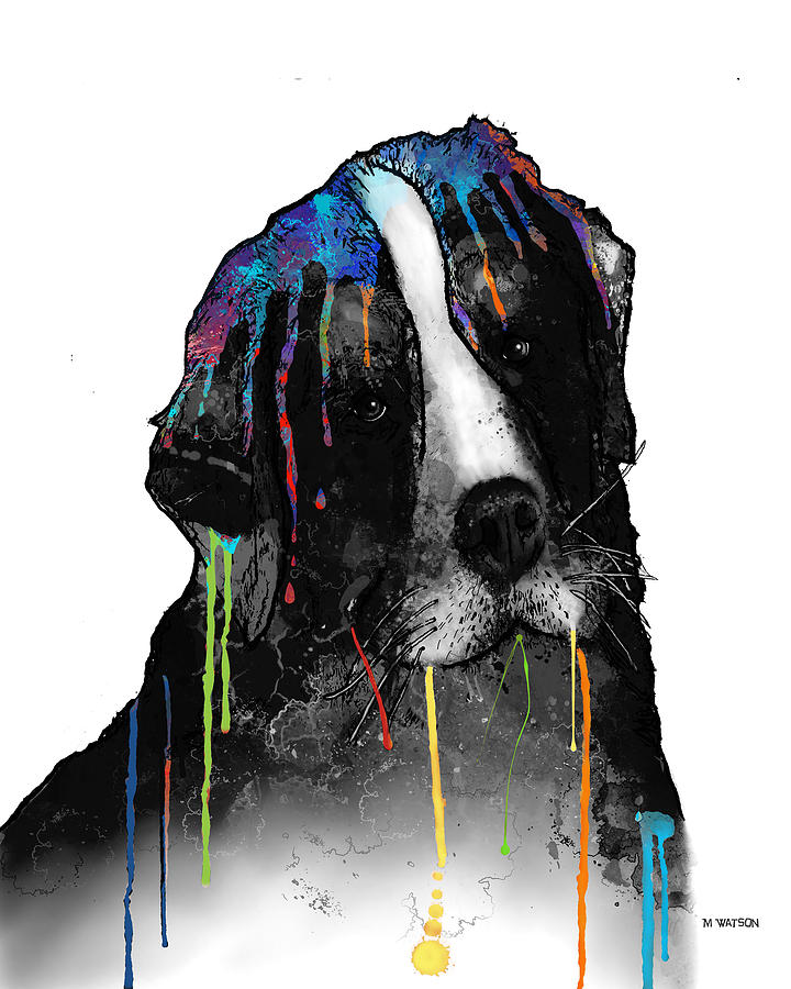 Bernese Mountain Dog Digital Art by Marlene Watson
