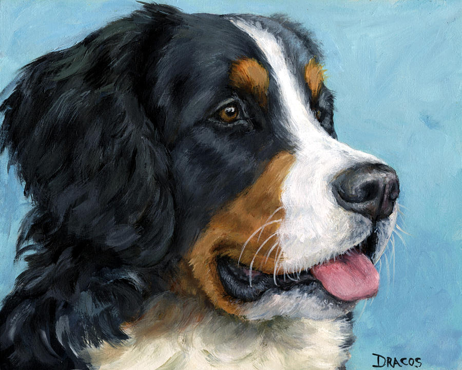 Dog Painting - Bernese Mountain Dog on Blue by Dottie Dracos