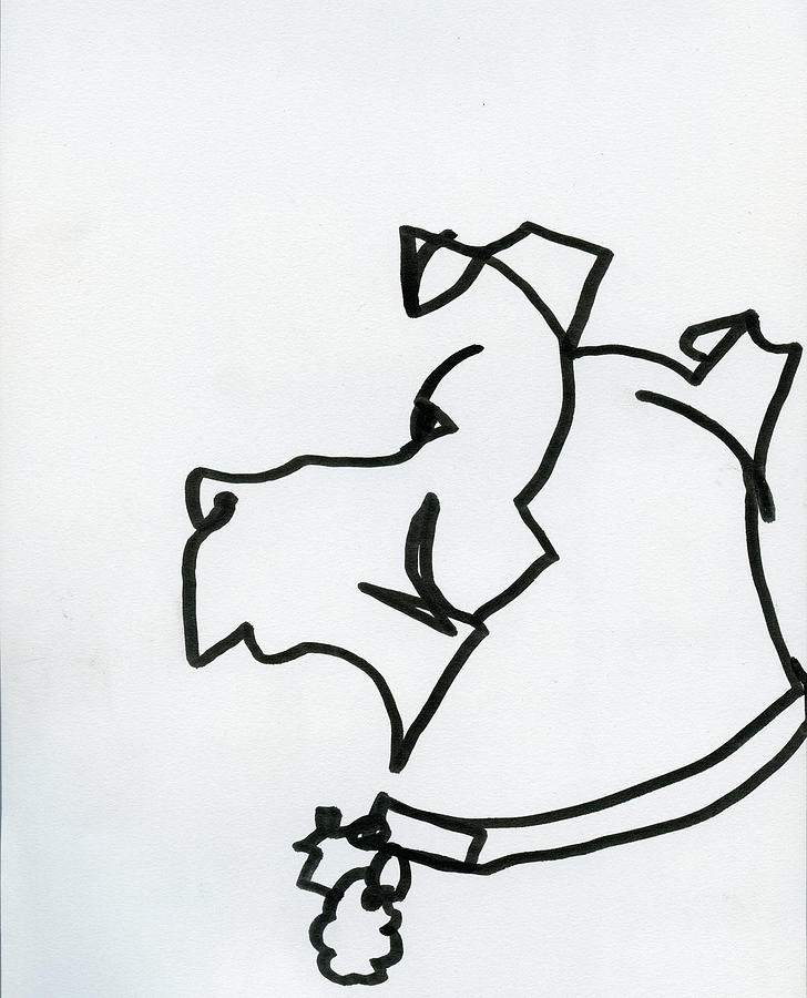 Dog Drawing - Bernini by Matthew Johnston