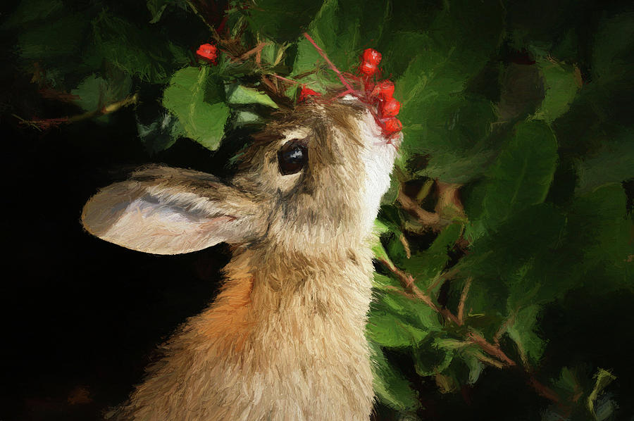 Berry Bunny DP Digital Art by Ernest Echols