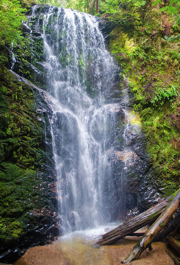 Berry Creek Falls Photograph by Mindy Linford - Fine Art America