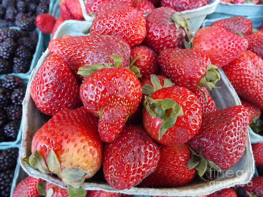 Berry Delicious Photograph by Lingfai Leung