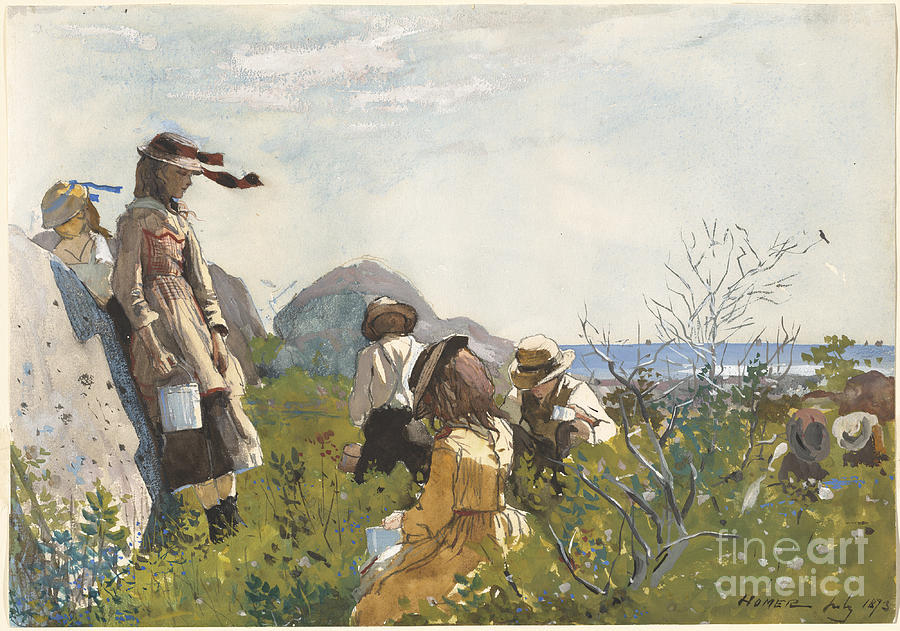 Berry Pickers Drawing by Winslow Homer