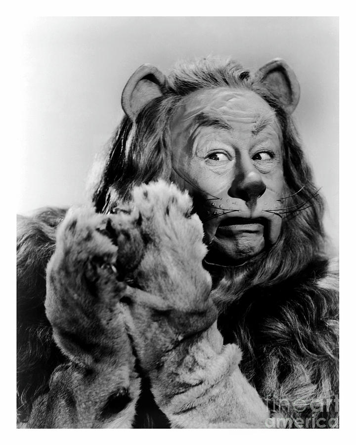 Cowardly Lion in The Wizard of Oz Photograph by Doc Braham