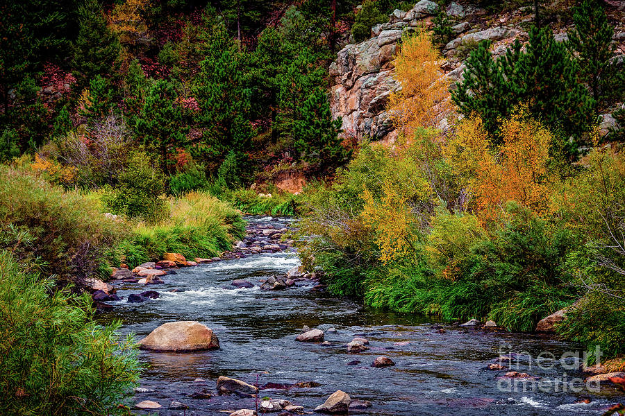 Beside a Mountain Stream Photograph by Jon Burch Photography
