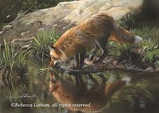 Fox Painting - Beside Still Waters - Red Fox by Rebecca Latham Fox Painting - Beside Still Waters - Red Fox by Rebecca Latham