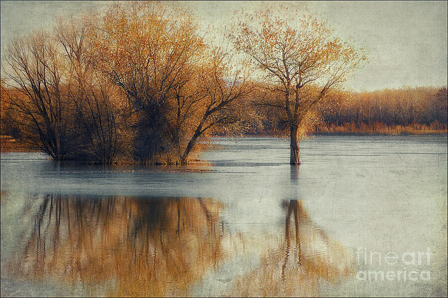 Beside Still Waters-Color Photograph by Priscilla Burgers