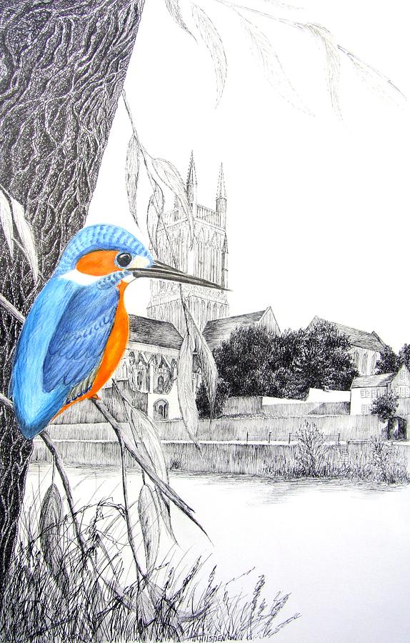 Kingfisher Drawing - Beside the River by Mark Hilsden