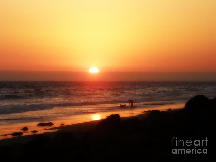 Sunset Photograph - Best Friends at the Beach by Leah McPhail