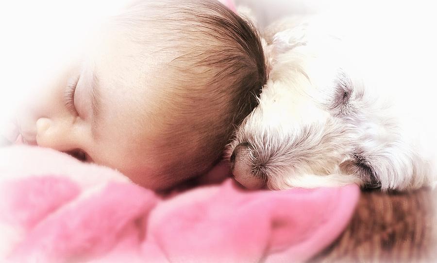 Dog Photograph - Best Friends by Marnie Malone