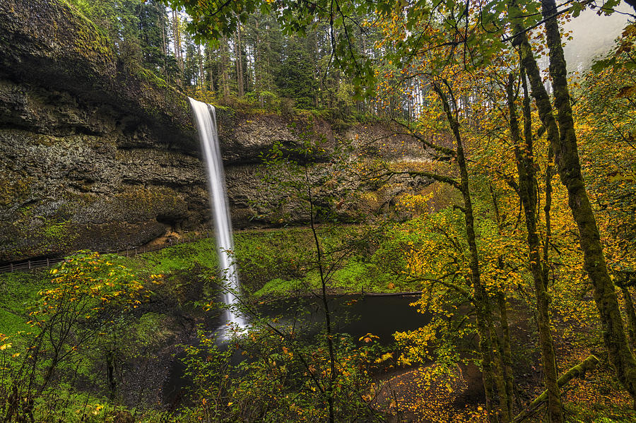 Fall Photograph - Best of Silver Falls by Mark Kiver