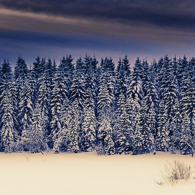 Winter Photograph - #besterålen #vesterålen #bø by Snap Jeanraymondcool