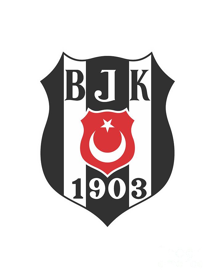 Besiktas JK Fleece Blanket by Alex Pamix - Pixels