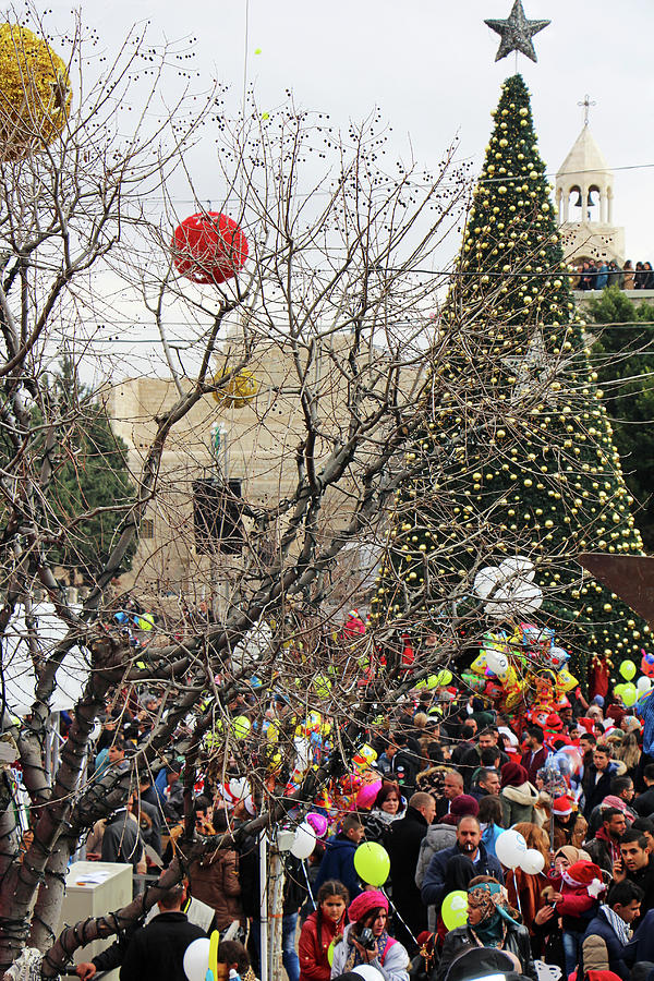 Bethlehem Christmas Tree Photograph by Munir Alawi