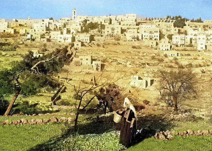 Bethlehem Spring Photograph by Munir Alawi