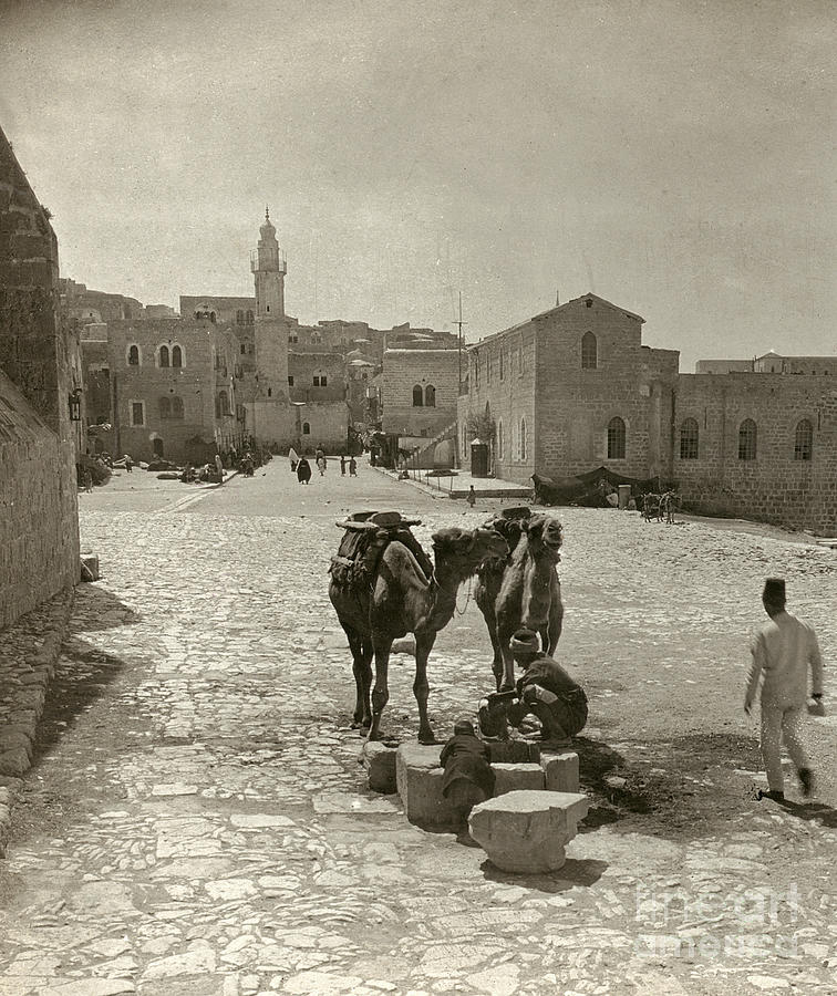 Camel Photograph - BETHLEHEM: STREET, c1911 by Granger
