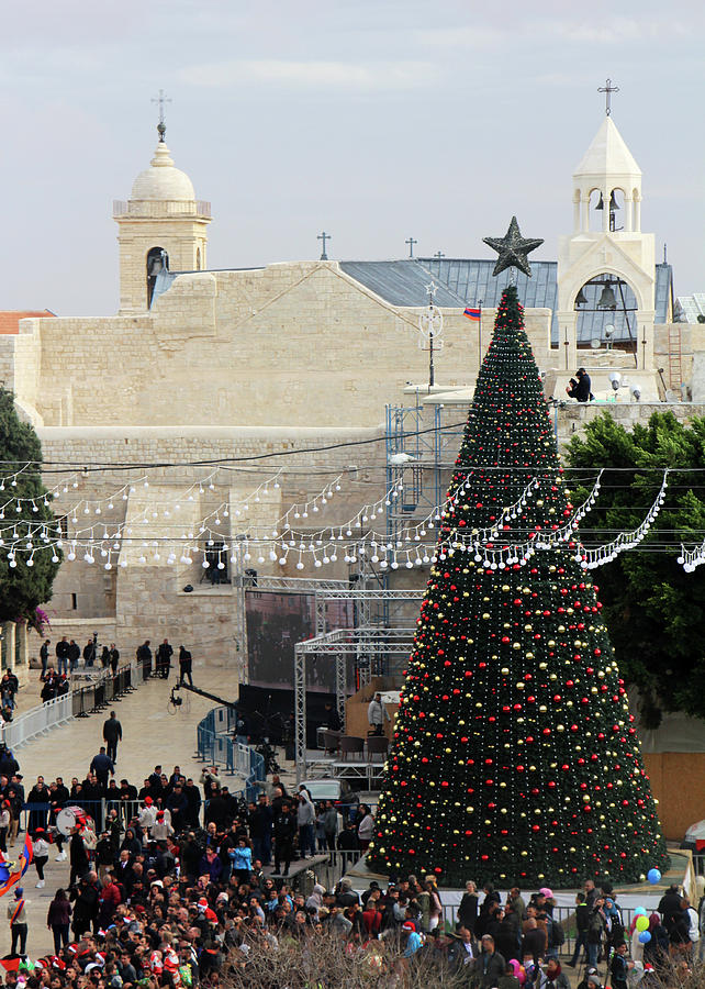 Bethlehem Tree and Star Photograph by Munir Alawi