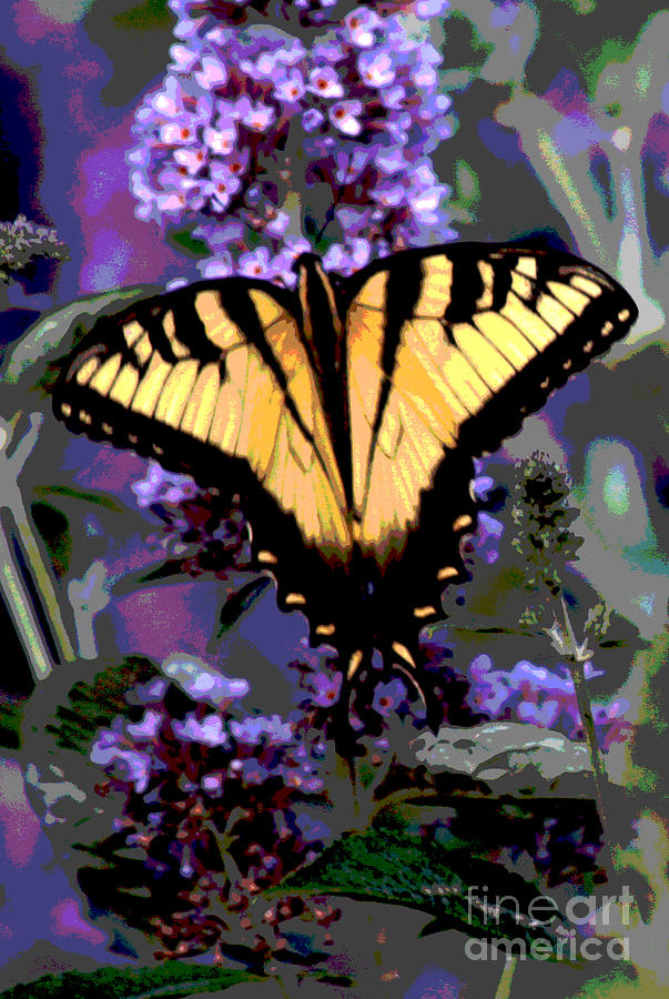 Better Butterfly Digital Art by Jack Ader