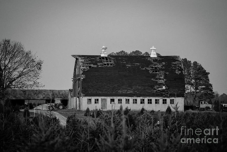 Better Days Black and White Rural / Rustic Landscape Photograph Photograph by PIPA Fine Art - Simply Solid
