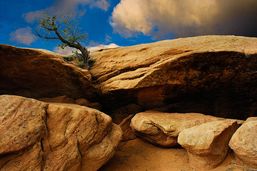 Between a Rock and a Hard Place Photograph by Harry Spitz