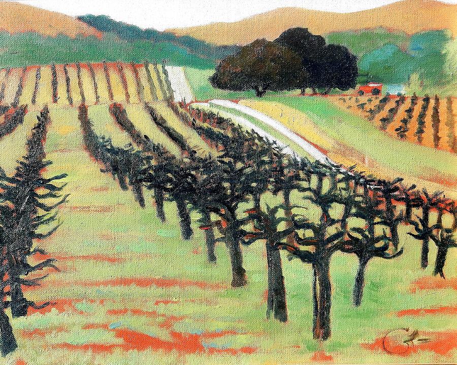 Vineyard Painting - Between Crops by Gary Coleman