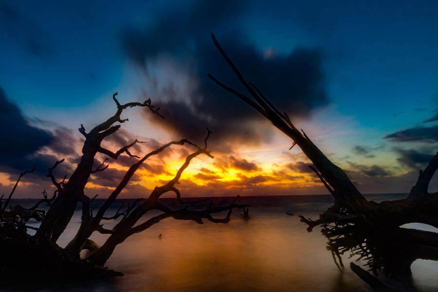 Between Driftwood Twilight Photograph by Chris Bordeleau