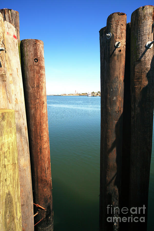 Between the Dock Poles at Long Beach Island Photograph by John Rizzuto