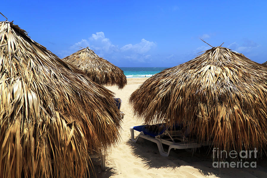 Between the Huts in Punta Cana Photograph by John Rizzuto