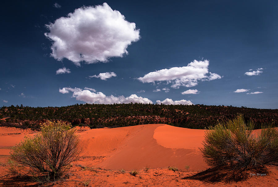 Kanab Photograph - Between the Lines by Tim Bryan