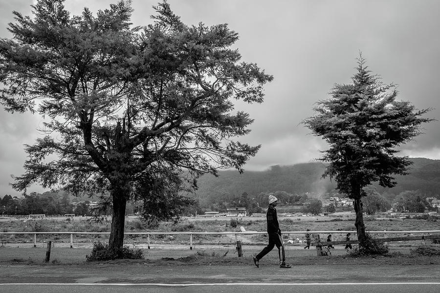 Between Two trees by Sam Morris Between Two trees by Sam Morris