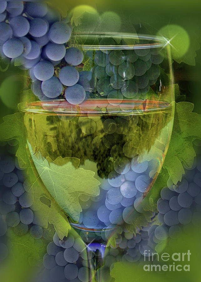 Beutiful Wine and Vineyard Grape Art Photograph by Stephanie Laird