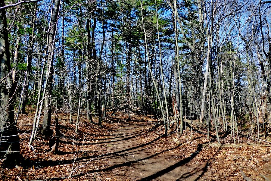 Beverly Commons Conservation Area Photograph by Scott Hufford