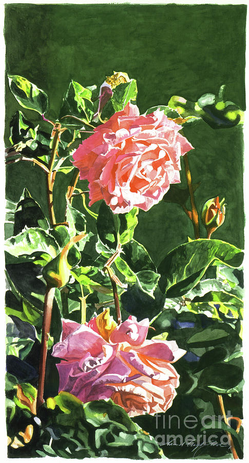 Beverly Hills Rose Painting by David Lloyd Glover