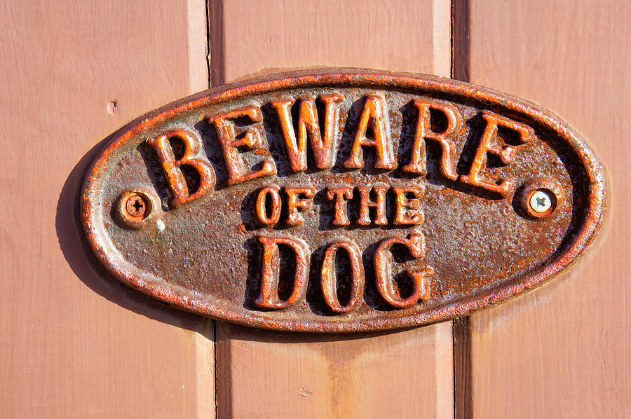 Architecture Photograph - Beware of the dog by Tom Gowanlock